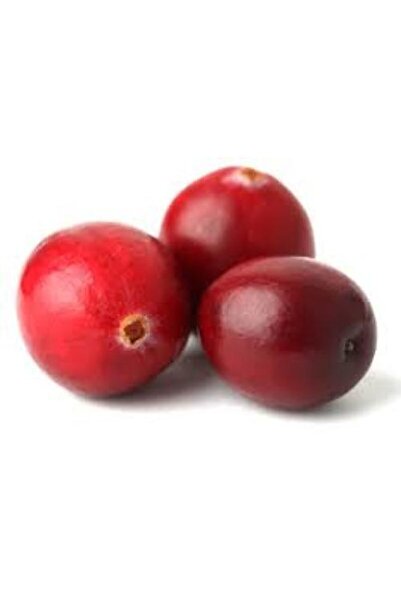 BURSATARIM Kızılcık Fidanı (aşı) 5 Yaş