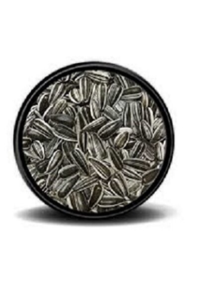 Vivid Bird Çizgili Küçük Alaca Çekirdek Papağan Yemi 1 Kg