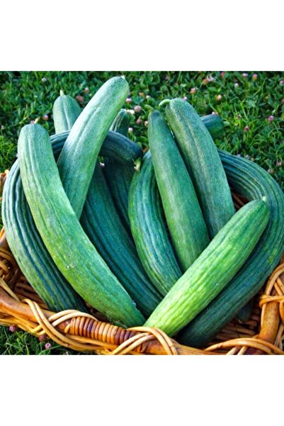 Floramut Taze Yeşil Acur Tohumu-10 Gram