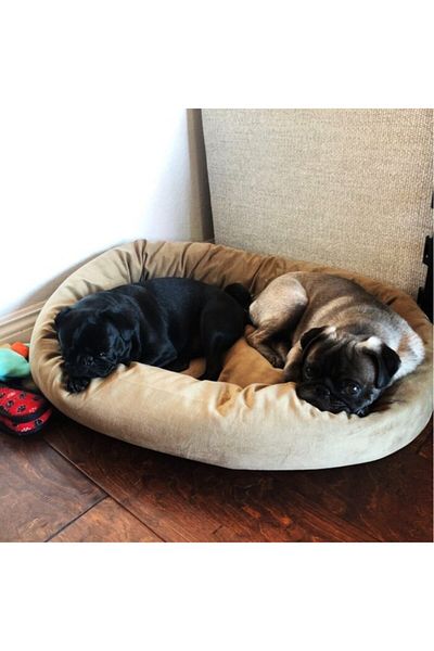 Patili Evler Large Breed Dog Bed 80x100 Cm - Not Deformed with Scratching - Wipeable - Does Not Collect Fluff