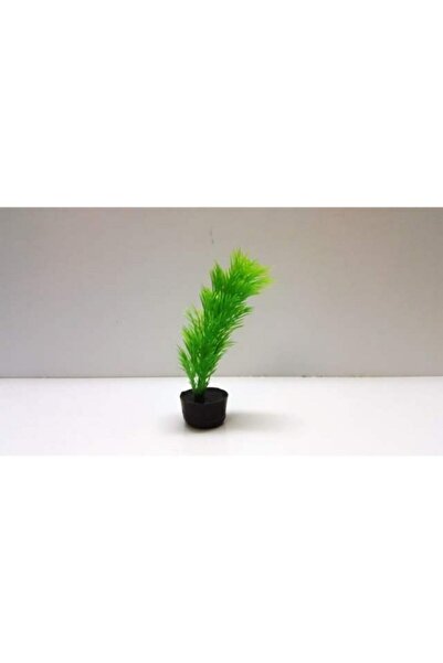 TROPİKAL Plastik Bitki 12 cm Tilki Kuyruğu