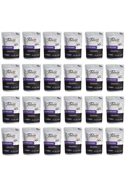 Felicia Pouch Somonlu Kısırlaştırılmış Kedi Konservesi 85 gr X 24 Adet