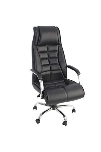 Genel Markalar Ofis Koltuğu Yönetici Koltuğu Makam Koltuğu Müdür Koltuğu Bilg...