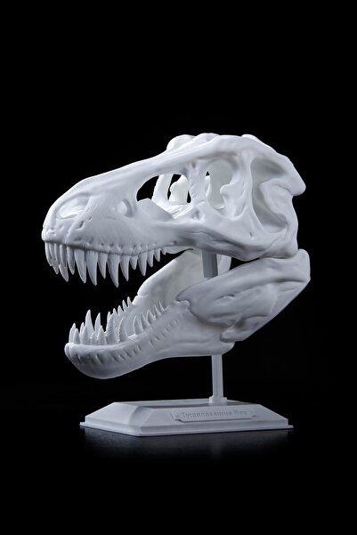 Hediyenn T-rex Dinazor Iskeleti Masaüstü Dekoru