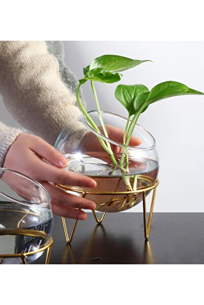 bigpapel Metal Ayaklı Cam Fanus Mumluk Saksı