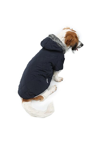 DOGİ&DOG Küçük Irk Laciver Puf Köpek Montu Kedi Köpek Kiyafeti