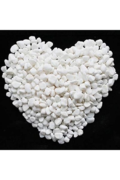 Doğalsan Tarım Beyaz Dolomit Taş 500 Gr 1,5-2,5 Cm Dere Taşı Çakıl Taşı Saksı Taşı Akvaryum Teraryum Taşı