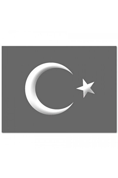 Trend Garaj ملصق نجمة القمر أبيض 12 × 11 سم