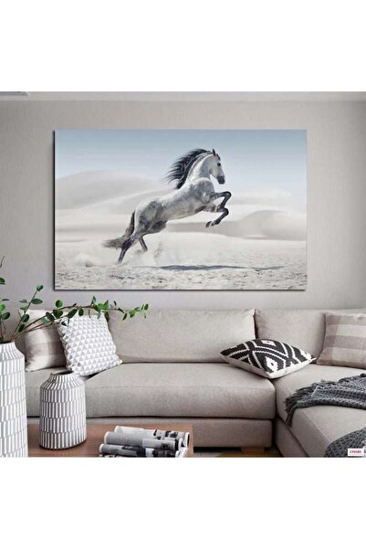 Piri Kanvas Tablo Şahlanan At Kanvas Tablo