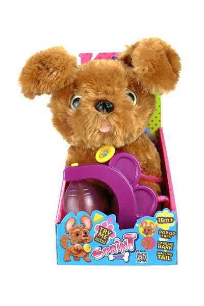 Eolo Sprint Golden Doodle, Wags Tail, Raises Ears, 3 Sounds, 18 Months+ - 20 cm