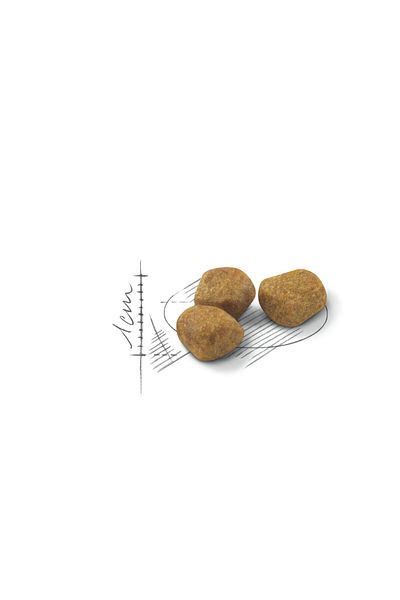 Royal Canin Indoor 7 Ev Kedileri Için Yaşlı Kedi Maması 3,5kg