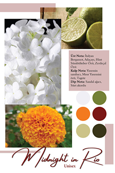 Frederic Patric Patric Midnight in Rio - Premium Perfume