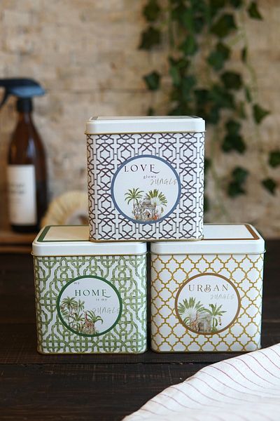 EVLE Erb36U3 Rectangular Storage Container 8 X 12 X 12 Cm, Set of 3, Forrest