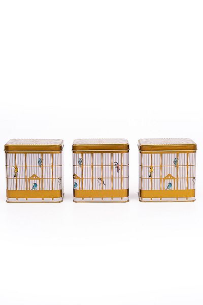 EVLE Erb36T7 Rectangular Storage Container 8 X 12 X 12 Cm, Set of 3, Bird Cage