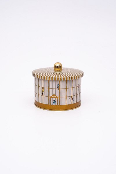 EVLE Metal Multi-Purpose Textured Storage Container, Decorative Storage Box 14 Cm, Bird Cage Er141-t7