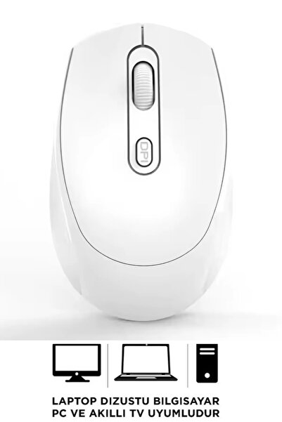 Sarftech 2.4GHz Optik 1600 Dpi Ev Ofis İş 4 Renk Kablosuz Mouse
