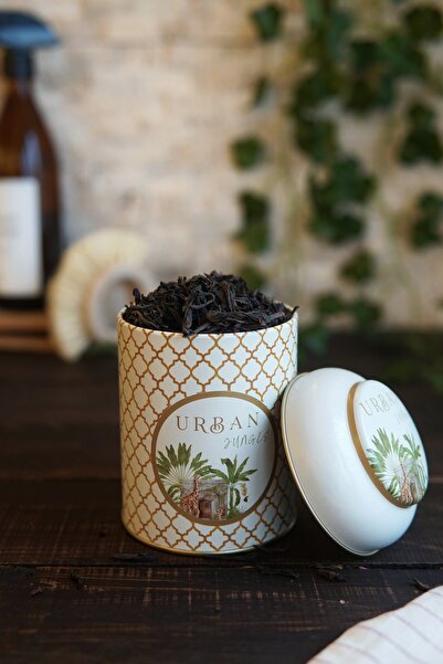 EVLE Er080-7ı Forrest Yellow Urban Desenli Baharatlık 0,6 Lt