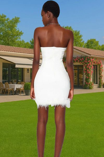 PayBuy Elegant Mini Bodycon Evening Dress Dress Finike Woven Feather Detail Summer Quality Craftsmanship Professional Appearance