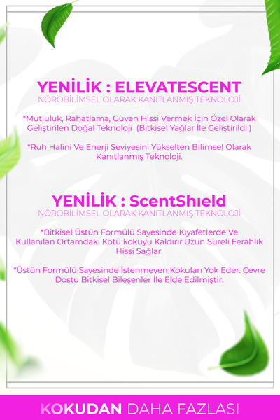 AURAN Manolya Esansiyel Uçucu Koku Yağı Ortam Kokusu Doğal Yağ Sihirli Küre Hobi Esansı 10ml