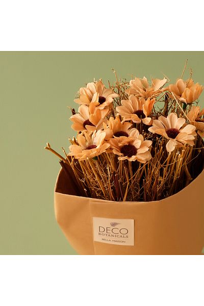 Bella Maison Φυσικό Μπουκέτο Λουλούδι Κλαδιού Μαργαρίτας Φυσικό (35 cm)