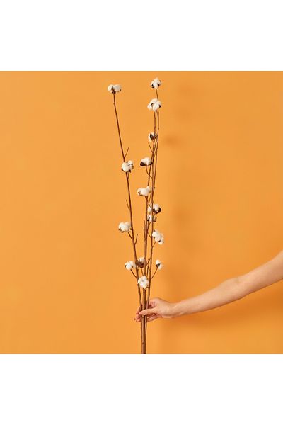 Bella Maison Μπουκέτο από βαμβακερά κλαδιά 4 τεμαχίων (95 cm)