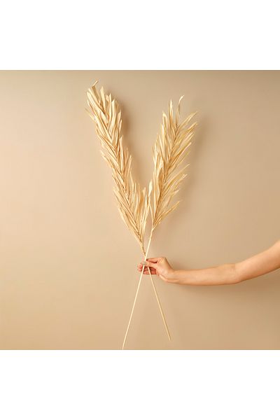 Bella Maison Φυσικό Μπουκέτο Κλαδιών Λίνδης Φυσικό (100 cm)