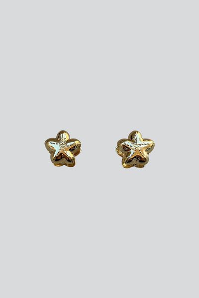 stravis Gold Star Earrings
