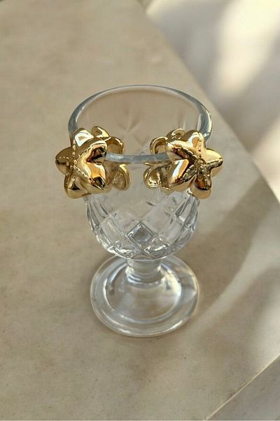 stravis Gold Star Earrings