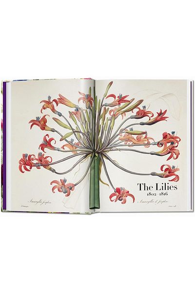 Taschen Redoutéكتاب الزهور