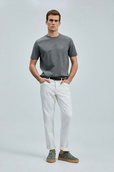 Lufian 111020240 Thınk Modern Graphic T-Shirt Men's T-Shirt Gray