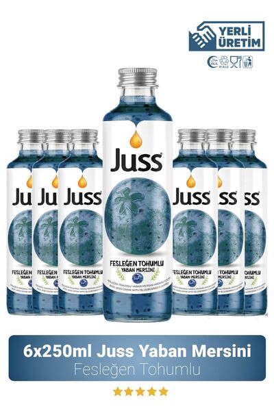 JUSS Fesleğen Tohumlu Yaban Mersini Aromalı Meyve Suyu 6'lı 250 ml