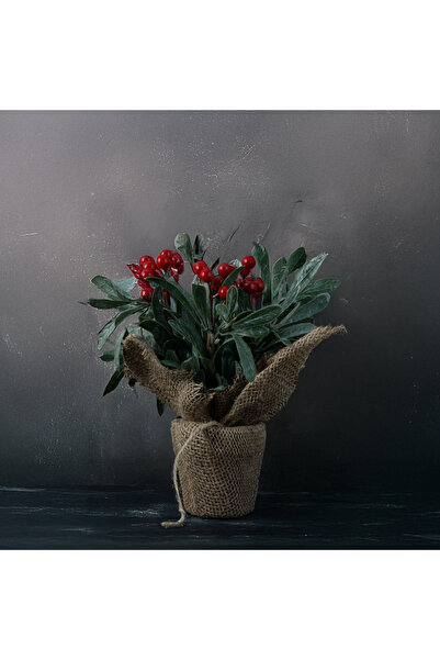 Koopman Fructe de pădure de Anul Nou 28 Cm