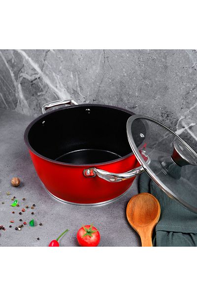Aryıldız Trendy Induction Prestige Pot Red 24X12 cm