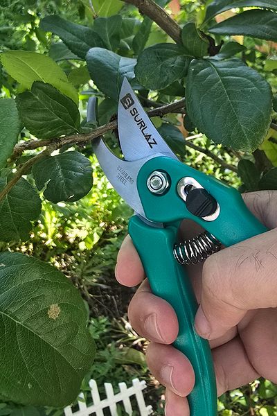 SürLaz Vineyard Garden Pruning Shears 20 Cm