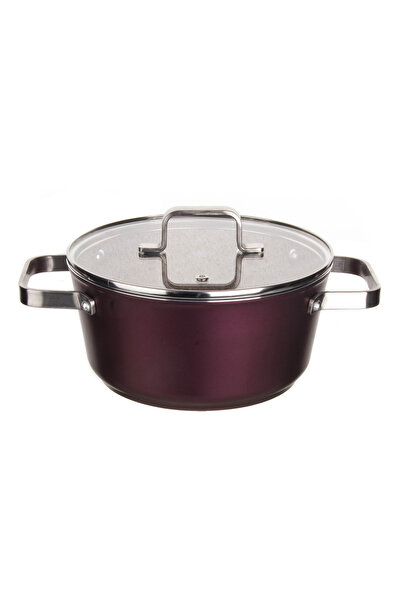 Aryıldız Claret Induction Tencere 20 Cm