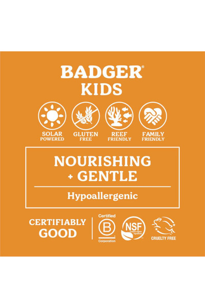 Badger Children's (Orange) and Odorless (Blue) Sunscreen Stick Set 18.4 Gr / 18.4 Gr