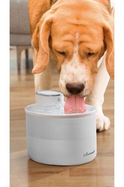 Kiwi 1 Meter Sensing Distance Sensored Cat Dog Water Spring - Kpf-10559