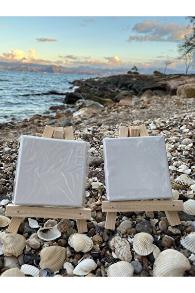 Ems Takı Aksesuar 10x10 Mini Tuval Şövale, Boya Ve Fırça Çocuklar Sevgililer Için Hediye Boyama Seti Resim Seti Tuval