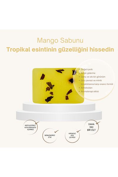 dionesse Natural Mango Soap 120 Gr - Aromatherapy Solid Soap with Antioxidant Content, Suitable for Skin Care