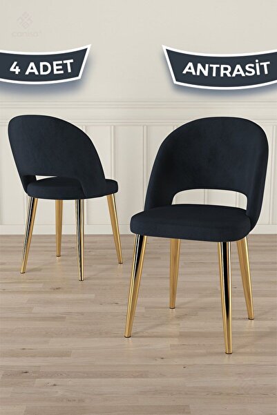 Canisa Pane Serisi 4 Adet Antrasit Mutfak Sandalyesi Gold Kaplama Metal Ayak ...