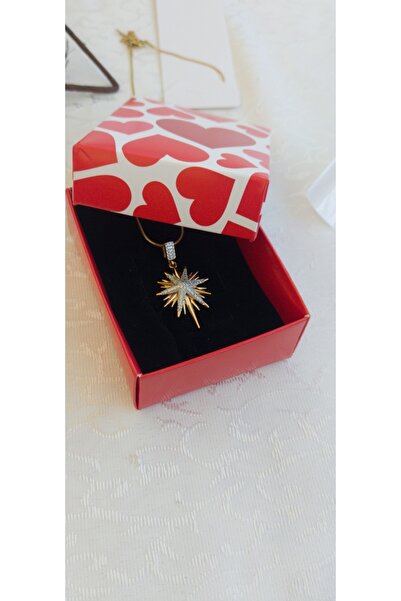 Cesil Kutup Yıldızı Altın Suyuna Batırılmış Kolye Taşlı – Sevgililer Günü Içi...