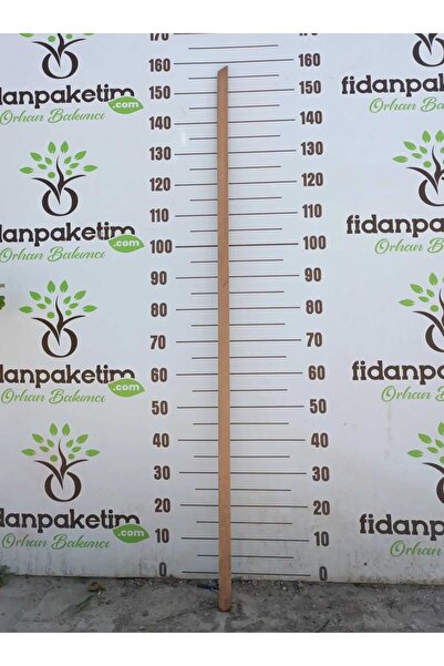 fidanpaketim 1 Adet Fidan Kazığı Fidan Destek Çubuğu '' Ahşap ''(2x3x150 Cm )