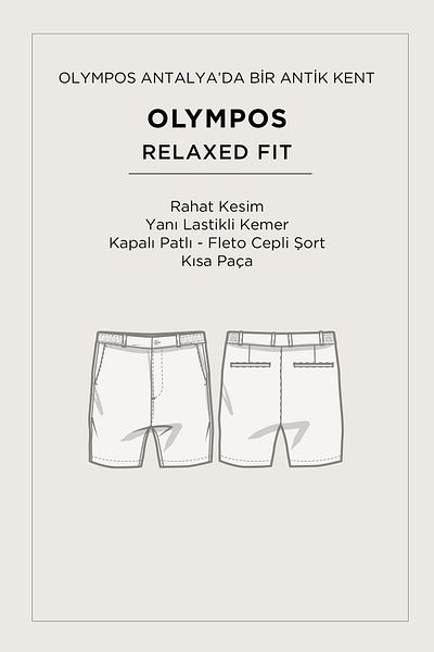Avva Men's Stone Side Elastic Technical Fabric Olympos Relaxed Fit Shorts A51Y3712