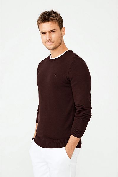 Avva Men's Dark Claret Red Crew Neck Non-Pilling Knitwear Sweater E 005000