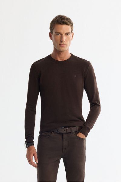 Avva Men's Brown Crew Neck Non-Pilling Knitwear Sweater E 005000