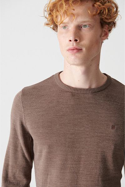 Avva Men's Mink Crew Neck Non-Pilling Knitwear Sweater E 005000