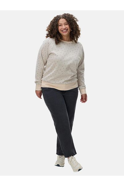 Ragwear Rundhalspullover Johanka Triangles Plus