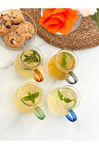 Ulus Home Polente Keyfi Ala Borosilikat Çay Bardağı 4 Lü