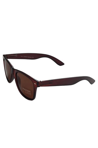 Globalport Retail Unisex Wayfarer sunglasses, polarized UV400, brown plastic frame, brown lenses