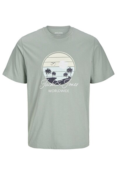Jack & Jones Ανδρικό μπλουζάκι Jjpalm